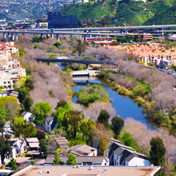 Habitat & Corridors - San Diego Riparian Habitat & Corridors - San Diego Riparian